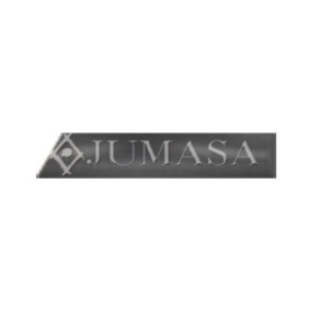 Zier- / Schutzleiste, Kotflügel 29020534 von JUMASA günstig für 49,51 € online kaufen
