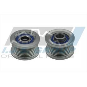 Compre Roda livre do alternador da IJS GROUP 30-1079 a um preço baixo por 40,12 €
