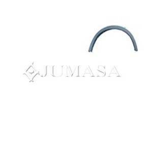Zier- / Schutzleiste, Kotflügel 30410571 von JUMASA günstig für 86,11 € online kaufen