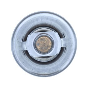 Achetez des Thermostat d'eau MOTORAD 318-82 à prix pour 60,69 €
