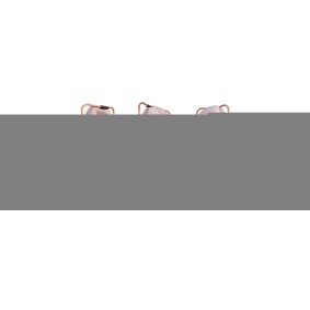 Bremssattel 3238810 von DRI günstig für 106,51 € online kaufen