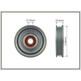 Achetez des Poulie renvoi / transmission, courroie trapézoïdale à nervures de chez CAFFARO en ligne pour NP300 Navara Camion à Plateau / Châssis (D40) à prix modérés
