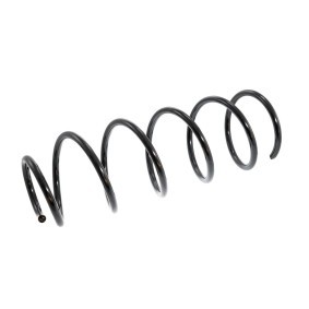 Federn des Herstellers MASTER-SPORT - Originalware Artikelnummer: 4066722-PCS-MS