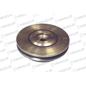 Achetez des Poulie damper (vilebrequin) TRICLO 425129 à prix pour 46,81 €