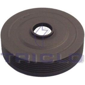 Achetez des Poulie damper (vilebrequin) TRICLO 425145 à prix pour 60,50 €
