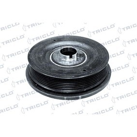 Achetez des Poulie damper (vilebrequin) TRICLO 425165 à prix pour 114,31 €