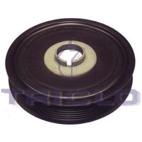 Acquista Puleggia cinghia albero a gomiti da TRICLO 425167 a buon mercato per soli 62,11 €