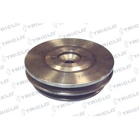 Achetez des Poulie damper (vilebrequin) TRICLO 425184 à prix pour 64,17 €