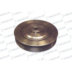 Achetez des Poulie damper (vilebrequin) TRICLO 425187 à prix pour 43,18 €