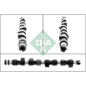 Nockenwelle 428 0139 10 DR von INA