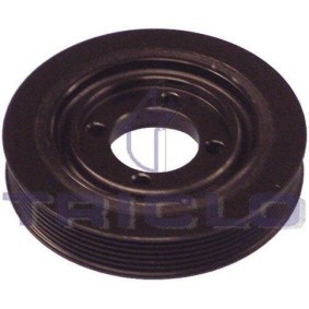 Achetez des Poulie damper (vilebrequin) TRICLO 428129 à prix pour 111,42 €