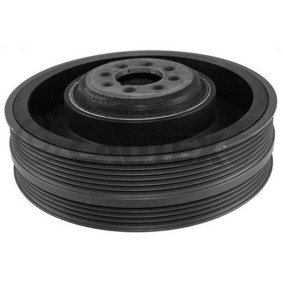 Comprar Polea de cigüeñal de CAUTEX 460952 a bajo precio de 206,87 €