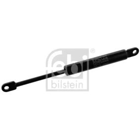 Kofferraum des Herstellers FEBI BILSTEIN - Originalware Artikelnummer: 48659