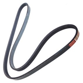 Keilrippenriemen 4PK1060-PCS-MS von MASTER-SPORT günstig für 7,96 € online kaufen