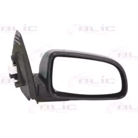 Außenspiegel 5402-56-005364P von BLIC günstig für 64,75 € online kaufen