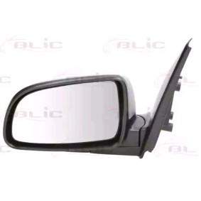 Außenspiegel 5402-56-005365P von BLIC günstig für 65,67 € online kaufen