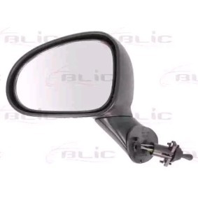 Acquista Specchietto retrovisore esterno da BLIC 5402-56-2001073P a buon mercato per soli 49,89 €