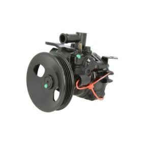 Acquista Pompa idraulica, sterzo da LAUBER 55.6102 a buon mercato per soli 125,65 €