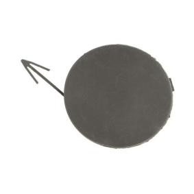 Klappe, Abschlepphaken 5513-00-1617970Q von BLIC günstig für 13,31 € online kaufen