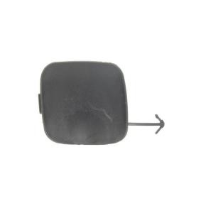 Klappe, Abschlepphaken 5513-00-8116924P von BLIC günstig für 18,37 € online kaufen