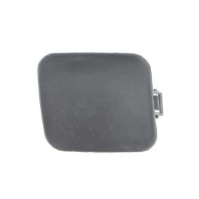 Klappe, Abschlepphaken 5513-00-8118923P von BLIC günstig für 11,99 € online kaufen