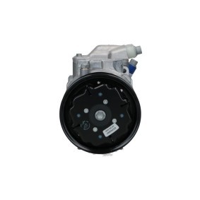 Lichtmaschine von BV PSH