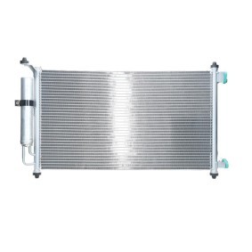 Lichtmaschine von BV PSH
