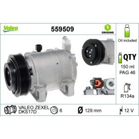 Acquista Compressore aria condizionata da VALEO online per TEANA I (J31) a prezzi moderati