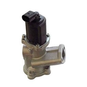 Acquista Valvola EGR da MAGNETI MARELLI 571822112002 a buon mercato per soli 87,55 €
