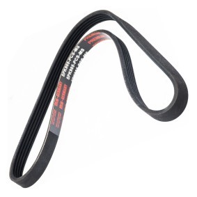 Achetez des Courroie Poly-V MASTER-SPORT 5PK905-PCS-MS à prix pour 10,34 €