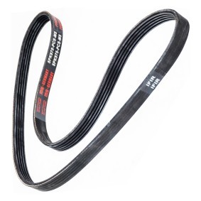 Keilrippenriemen von MASTER-SPORT 5PK975-PCS-MS