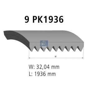 Zylinderkopfdichtung 6.22116 von DT Spare Parts günstig für 30,62 € online kaufen