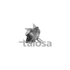Motorlager von TALOSA