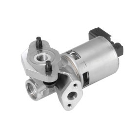 Compre Válvula EGR da WAHLER 710632D a um preço baixo por 146,84 €