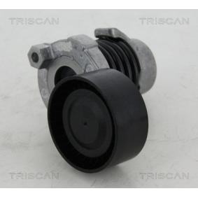 Spannrolle, Keilrippenriemen für NISSAN von TRISCAN