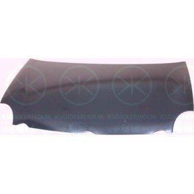 Kühler, Motorkühlung 9504302124 von KLOKKERHOLM günstig für 67,15 € online kaufen