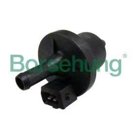 Tankentlüftungsventil des Herstellers Borsehung - Originalware Artikelnummer: B13667