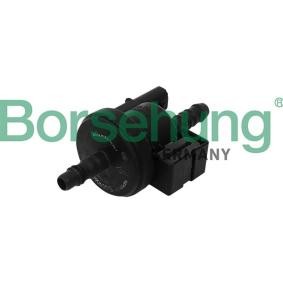 Tankentlüftungsventil des Herstellers Borsehung - Originalware Artikelnummer: B16933