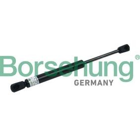 Heckklappendämpfer für AUDI von Borsehung