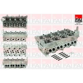 Zylinderkopf BCH056 von FAI AutoParts günstig für 493,91 € online kaufen