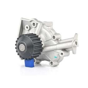 Acquista Pompa acqua da BSG BSG 16-500-004 a buon mercato per soli 50,11 €