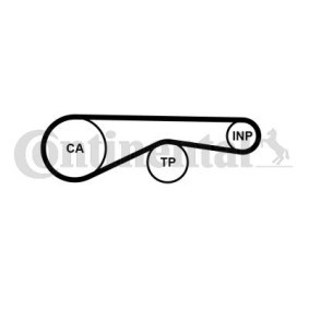 Zahnriemen CT1194
