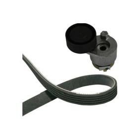 Keilriemensatz für RENAULT von KAVO PARTS