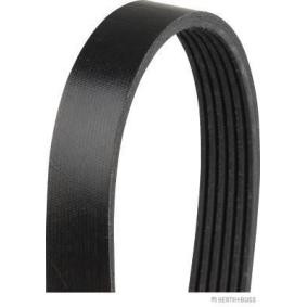 Compre Correia trapezoidal estriada da HERTH+BUSS JAKOPARTS J1062415 a um preço baixo por 31,13 €