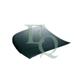 Motorhaube L00789