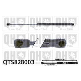 Acquista Ammortizzatore pneumatico cofano motore da QUINTON HAZELL QTS828003 a buon mercato per soli 23,63 €