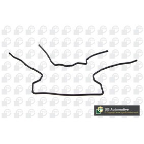 Dichtungssatz, Steuergehäuse TC7575 von BGA günstig für 14,32 € online kaufen