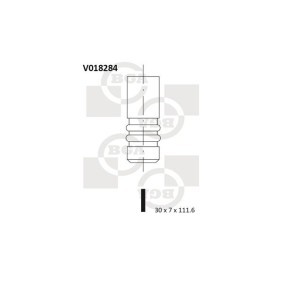 Auslaßventil V018284