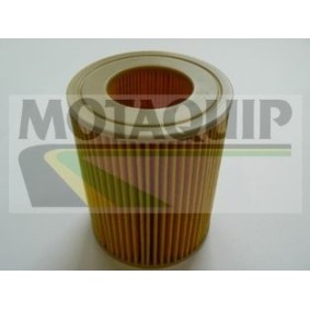 Acquista Filtro olio da MOTAQUIP VFL559 a buon mercato per soli 12,98 €