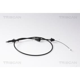 Acquista Cavo acceleratore da TRISCAN 8140 25306 a buon mercato per soli 24,19 €